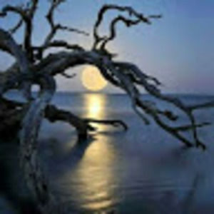 Meet your Posher, Elyse